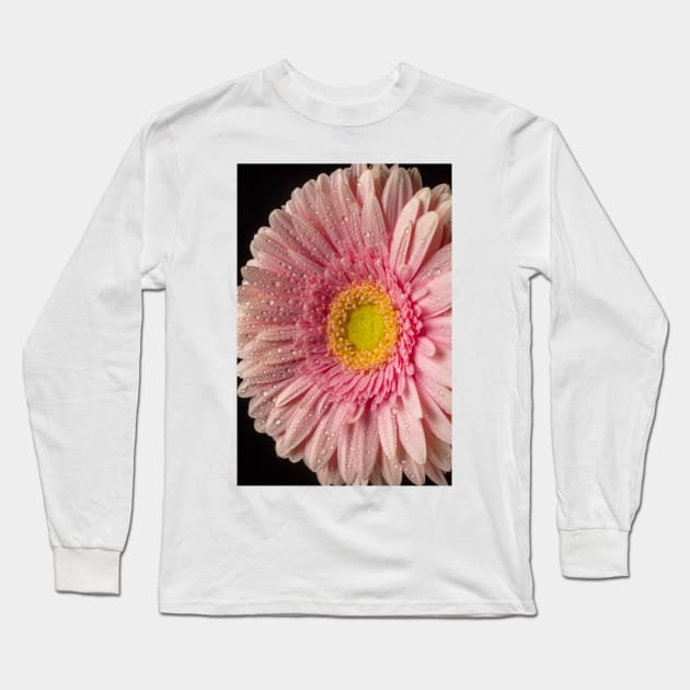 Dew Covered Pink Daisy Long Sleeve T-Shirt by photogarry